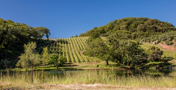 Bonterra_vyd- biodiversity